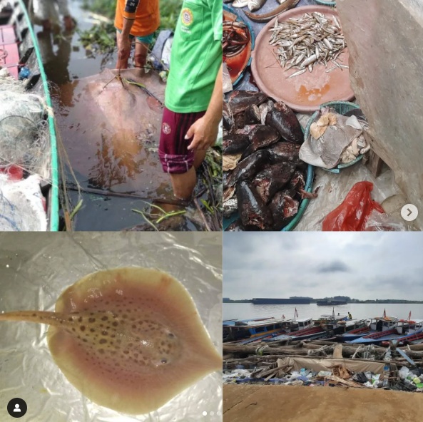 Analysis of the Livelihood Assets of Freshwater Stingray Fishermen in Musi River