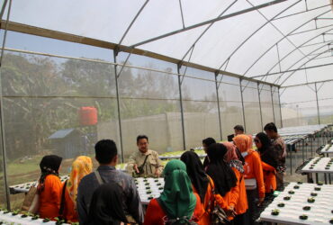 3-dosen pulang kampung22