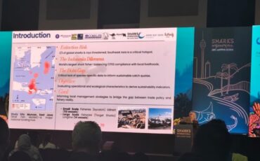 konferensi hiu